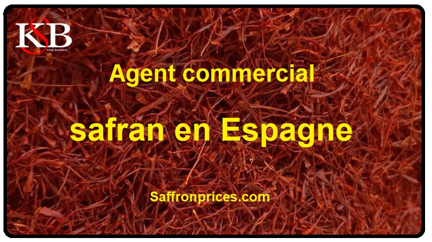 Agent commercial de safran en Espagne