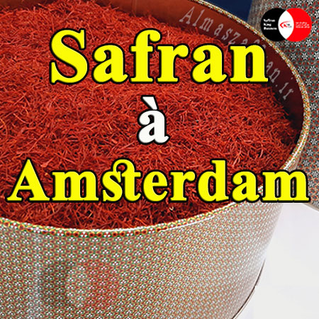 Safran à Amsterdam